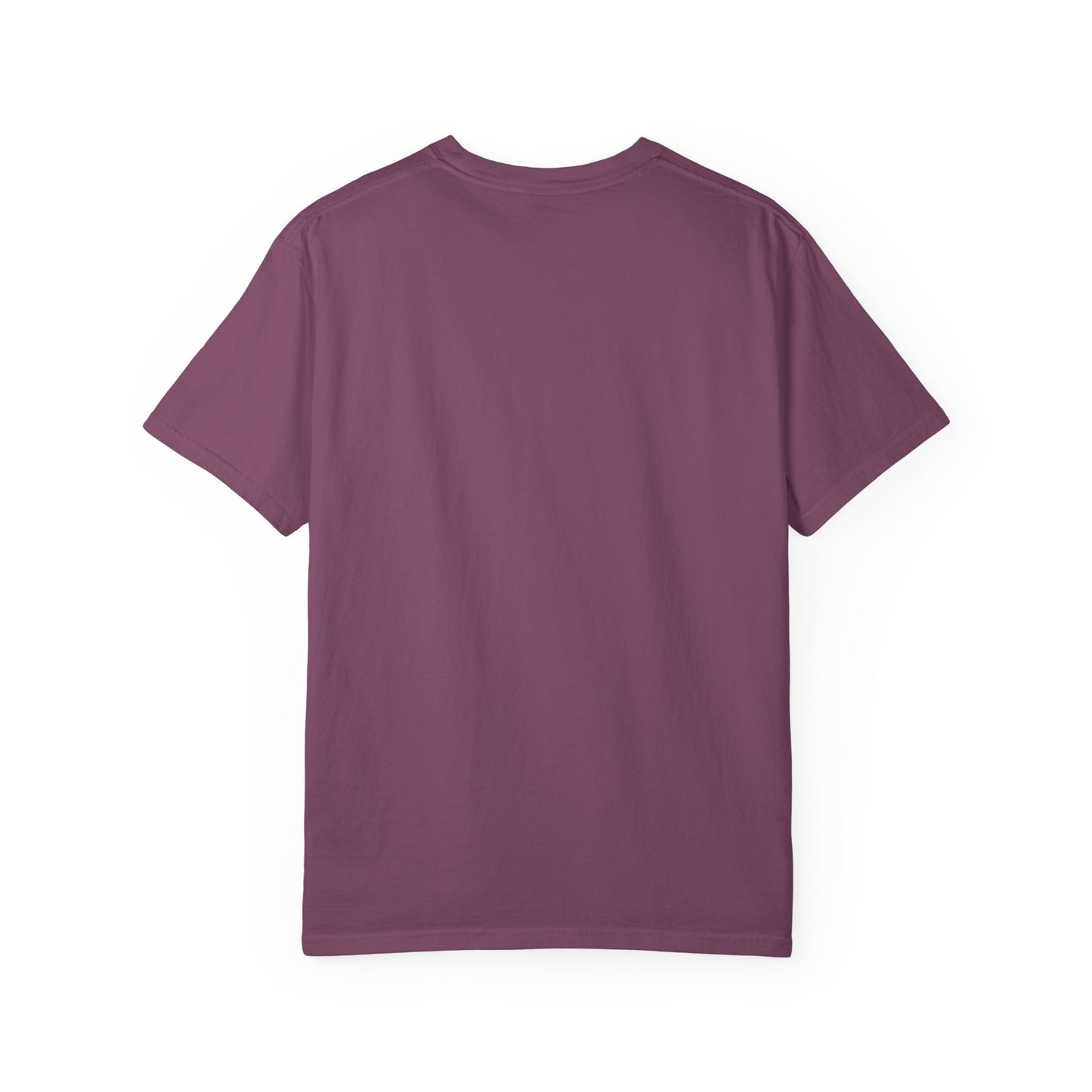 LGBTQ+ Pride T-shirt